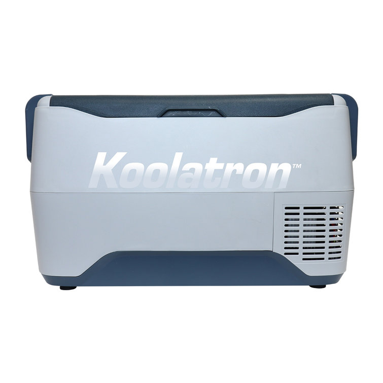 12 volt online cooler fridge